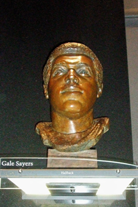 Notable - Gale Sayers.JPG